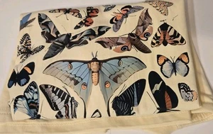 T-Shirt Damen Größe S Beige Mottenmotiv Kurzarm - Bild 1 von 10