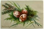 Speckled Eggs Of Tree Pipit Green Birds Nest No Ad Victorian Trade Card