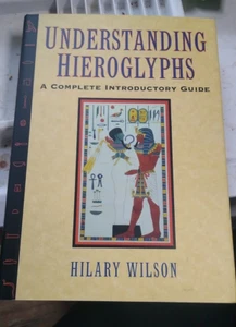 Understanding Hieroglyphs A Complete Introductory Guide Hilary Wilson  B47 - Picture 1 of 1