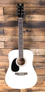 DAMAGED - Rogue RG-624 Left-Handed Dreadnought Acoustic Guitar #R1930 - Picture 1 of 9