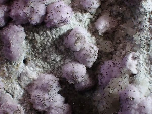 RARE DAWSONITE on FLUORITE Fine Mineral Specimen Francon Quarry MONTREAL Quebec - Picture 1 of 4