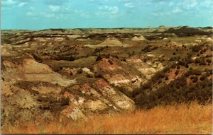 North Dakota ND Theodore Roosevelt National Park South Unit Prairie Postcard - Picture 1 of 2