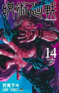 Jujutsu Kaisen Japanese Manga vol.14 Jump Comics from Japan New January 2021 - Picture 1 of 24