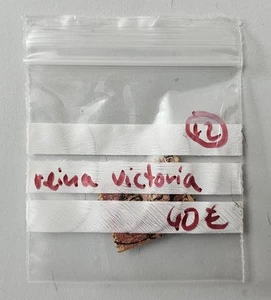 ANTIGUO SELLO DE LA REINA VICTORIA DE INGLATERRA REINO UNIDO VER FOTOS - Imagen 1 de 3