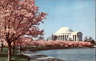 Washington DC Japanese Cherry Blossoms Tidal Basin view ~ postcard  sku701