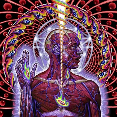 TOOL Lateralus BANNER HUGE 4X4 Ft Fabric Poster Tapestry Flag album cover art - Image 1 of 3