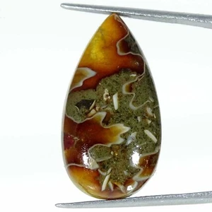 22.80Cts Natural Ammonite Pear Cabochon Loose Gemstone - Picture 1 of 5
