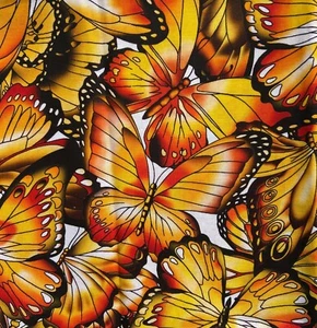 Schmetterlinge Quiltstoff 🦋🦋Lebendige Farben von Robert Kaufman, Design 18708 - Bild 1 von 2