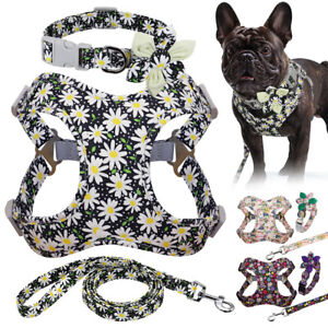 3pcs/set Floral Print Dog Harness & Collar & Lead Reflective Soft Mesh Walk Vest