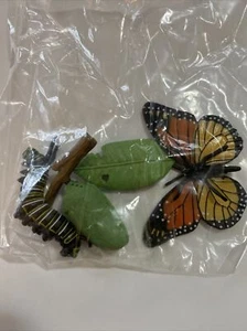 Realistic Butterfly Growth Cycle Plastic Figures Educational Toy - Picture 1 of 2