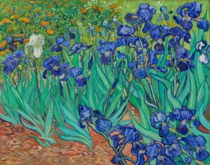 Irises by Vincent van Gogh oil painting Giclee Printed on Canvas P1794 - Picture 1 of 7