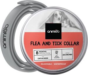 Flea Tick Collar 8 Months Protection Waterproof Safe & Adjustable for Dogs