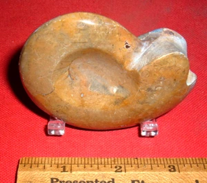 (3"+) Brown Ammonite Polished Stone Fossil 63 - 133 Million Years Old With Stand - Picture 1 of 5
