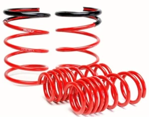 Skunk2 (519-05-1672) Lowering Springs (Set of 4) for 05-06 Acura RSX - Foto 1 di 1