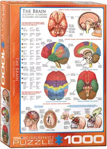 The Brain 1000 piece jigsaw puzzle by Eurographics 680mm x 490mm (pz) - Picture 1 of 1