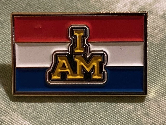 Значок команды Нидерландов 2025 Vancouver Whistler Invictus Games - Изображение 1 из 1