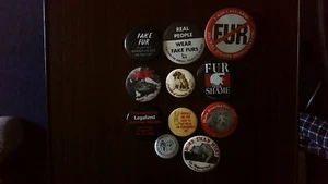 Lot of Vintage Button Pins (11 Total) - Vegan & Vegetarian, Anti-Fur - Picture 1 of 4