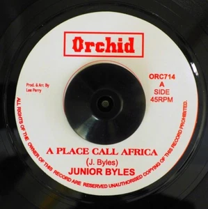 VINYL 7 INCH Jr. Byles - A Place Called Africa / The Upsetters - Version - Picture 1 of 2