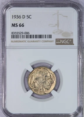 1936-D Buffalo Nickel 5c NGC MS66 - Beautiful golden tone WOW! - Image 1 of 4
