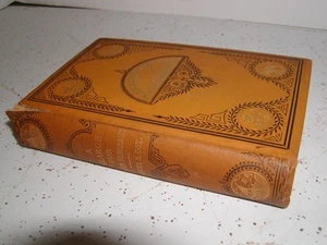 A Search for Winter Sunbeams S Cox 1880 Appleton & Co RARE beautiful book - Picture 1 of 4