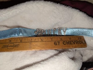 Large Dog Collar With Rhinestone Paw & Lucky - Picture 1 of 2