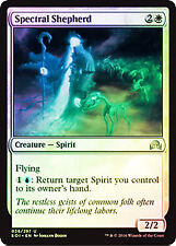 Spectral Shepherd FOIL Shadows over Innistrad NM White Uncommon CARD ABUGames