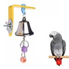 Hanging Parakeet Beads Play Toy Colorful Birds Chewing Hanging Bell  Grinding