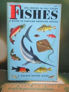 FISHES Guide to Familiar American Species 278 Full Color Golden Nature ZIM 1956 - Picture 1 of 14