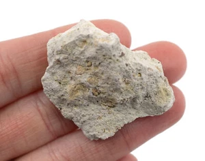 Esemplare di roccia ignea di tufo vulcanico grezzo, 1" - Geologo selezionato - Eisco Labs - Foto 1 di 1