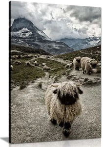 Valais Blacknose Sheep Herd Nature Framed Canvas Print Wall Art Home Decor - Picture 1 of 6