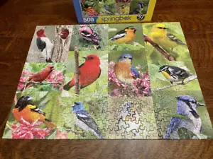 BIRDS OF A FEATHER Springbok Puzzle 500 pc COMPLETE Cardinal Blue Jay - Picture 1 of 8