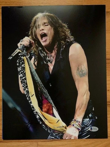 STEVEN TYLER HAND SIGNED 11x14 COLOR PHOTO   IN CONCERT    AEROSMITH     BECKETT Cover