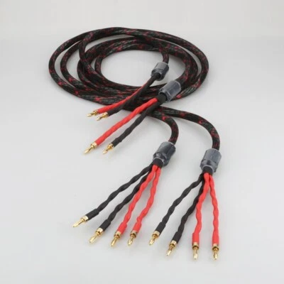 Western Electric HiFi Speaker Bi-Wire Cable 12 AWG OCC HiFi Loudspeaker Wire - Image 1 of 4