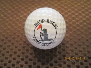 PELOTA DE GOLF PING/S-AMARILLO/BLANCO PING #3...9/10... LOGOTIPO DE CAMPO DE GOLF WANDERMERE... - Imagen 1 de 5