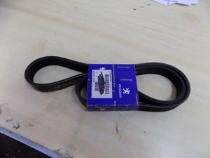 Genuine Peugeot Boxer 2.8 Diesel 2.8 HDi Power Steering Pump  Belt 128067 - Picture 1 of 1
