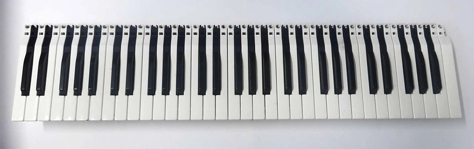 Ensoniq EPS 16+ Llavero Completo con Bobinas, Llaves y Muelles Foto 1 de 1