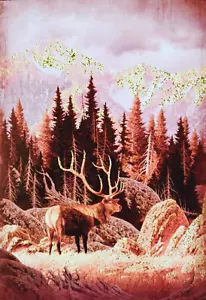 Biglietto Auguri Buon Compleanno Corna Alce Fauna Selvatica Paesaggio Montagne Boschi - Foto 1 di 3