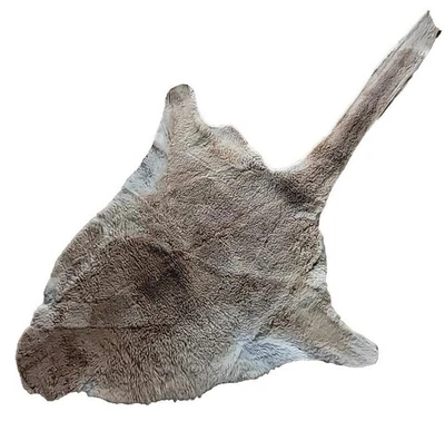 Piel de canguro curtida australiana genuina, piel piel piel piel piel. ~53"  Foto 1 de 3