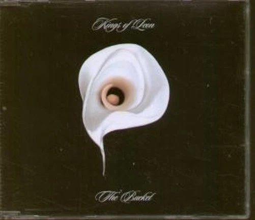 Kings Of Leon Bucket CD Europa Hand Me Down 2004 Con Etiqueta En La Caja B/W - Imagen 1 de 2