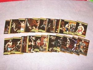 Topps WWE NXT WRESTLING 2019 24 CARTAS PARALELAS DE BRONCE DIFERENTES (18-3) - Imagen 1 de 1