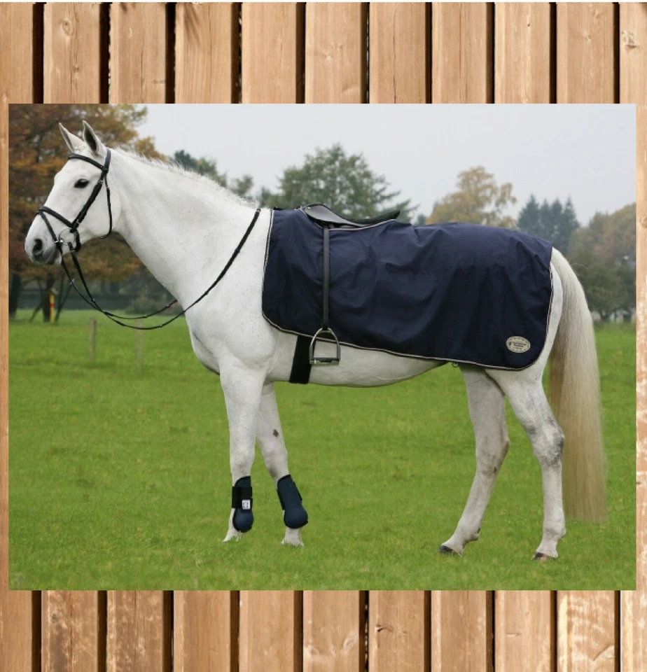 ThermoStar Ausreitdecke, wasserdichte Nierendecke, Ausreit Decke Fleecefutter  - Bild 1 von 1