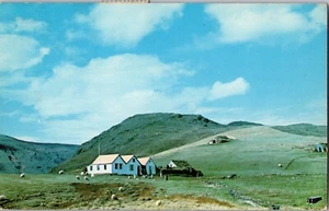 Postcard farmhouse near Geysir Iceland hills sheep Army Air Force Postmark 1961 - Picture 1 of 2