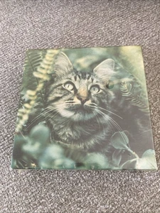 A Cat is a Cat-Springbok Mini Jigsaw Puzzle-70 pcs-7"x7"-VTG~NIB - Picture 1 of 3