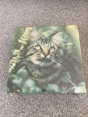 A Cat is a Cat-Springbok Mini Jigsaw Puzzle-70 pcs-7"x7"-VTG~NIB - Image 1 of 3