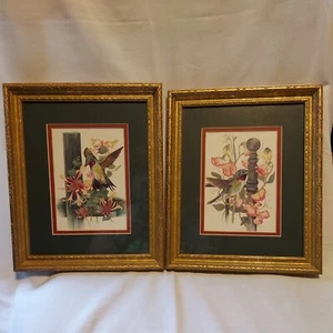 Bambi B Papais Wood Framed & Matted Watercolor Prints Hummingbirds 11.5"x9.5" - Picture 1 of 7