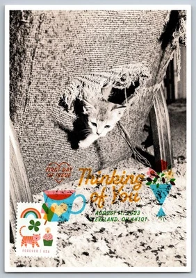 #5806 Thinking of You Cat FDC Maxi Card w/DCP Cancel - Image 1 of 2