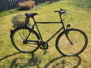 Herren Hollandrad Veloring Europa Sport - Bild 1 von 8