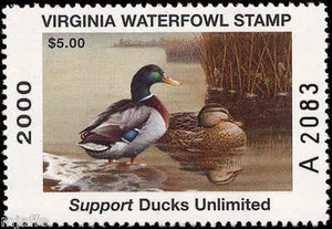 VIRGINIA #13 2000 ""A"" PREFIJO ESTADO PÁRAMO DE PATO por Tim Donovan - Imagen 1 de 1