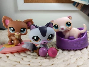 petshop authentic LPS Biggest Stars Raccoon #1622 Chien #1623 Ferret #1624 rare  - Picture 1 of 6