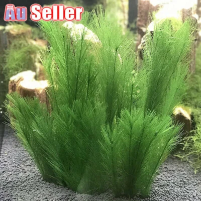 Artificial Fake Plastic Water Grass Plants For Fish Tank Decor Aquarium Ornament - image 1 of 4